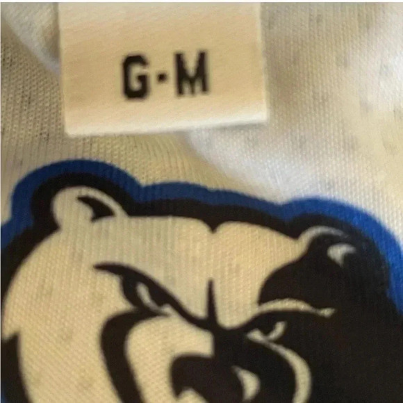 Alleson Athletic Grizzlies Blue White Basketball Jersey Sleeveless SZ M # 1319 - Picture 5 of 7
